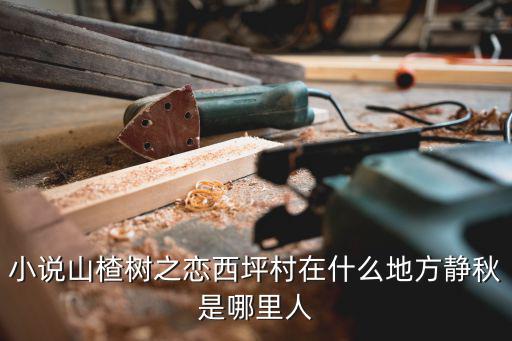 小說山楂樹之戀西坪村在什么地方靜秋是哪里人