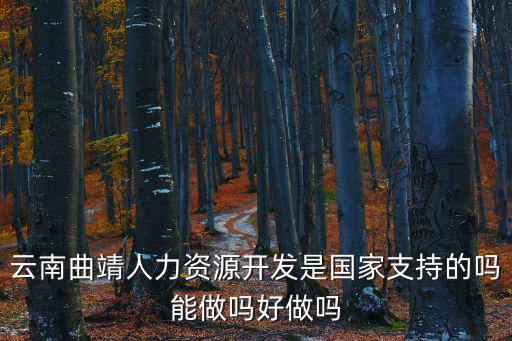 云南曲靖人力資源開發是國家支持的嗎能做嗎好做嗎