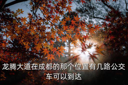 龍騰大道在成都的那個位置有幾路公交車可以到達