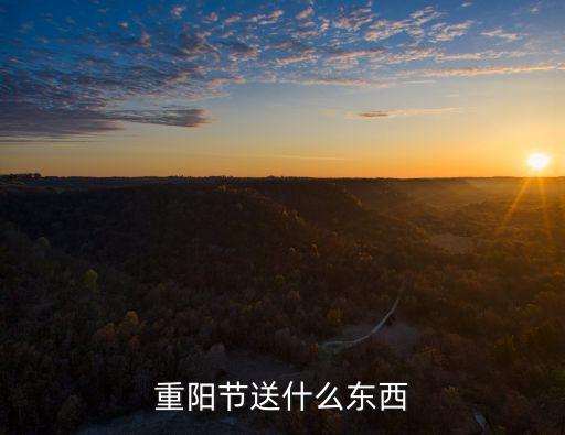 重陽(yáng)節(jié)送什么東西
