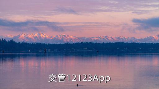 交管12123App