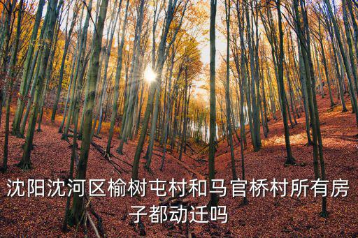 沈陽沈河區榆樹屯村和馬官橋村所有房子都動遷嗎