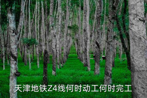天津地鐵Z4線何時(shí)動(dòng)工何時(shí)完工