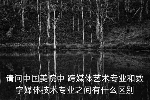 請問中國美院中 跨媒體藝術專業和數字媒體技術專業之間有什么區別