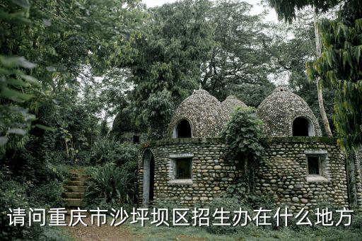 重慶市招生辦公室，請問重慶市沙坪壩區(qū)招生辦在什么地方