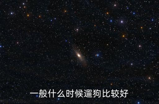 一般什么時候遛狗比較好
