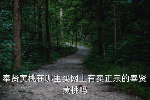 奉賢黃桃在哪里買網(wǎng)上有賣正宗的奉賢黃桃嗎