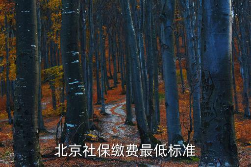 社保繳費最低標準，北京社保繳費最低標準