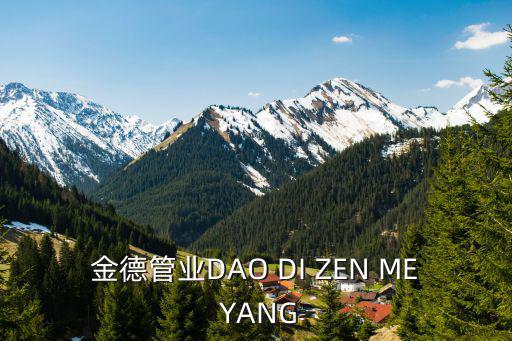 金德管業(yè)DAO DI ZEN ME YANG