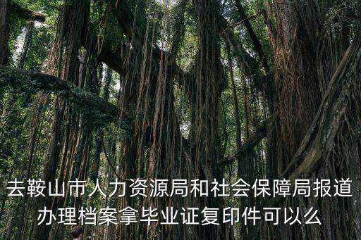 去鞍山市人力資源局和社會(huì)保障局報(bào)道辦理檔案拿畢業(yè)證復(fù)印件可以么
