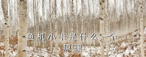 魚 機 小 卡 是 什 么 一個 原 理