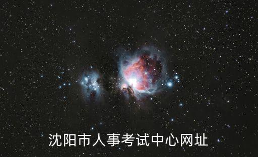 沈陽市人事考試中心網址