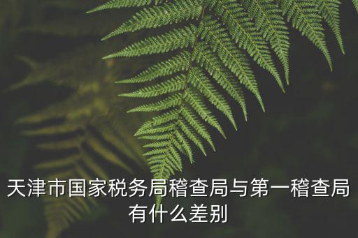 天津市國家稅務局，天津市國家稅務局通用定額發票 什么資格可以開