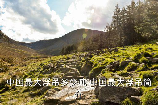 浮吊船，中國最大浮吊多少噸 中國最大浮吊簡介