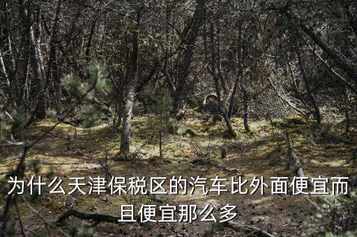 為什么天津保稅區(qū)的汽車比外面便宜而且便宜那么多