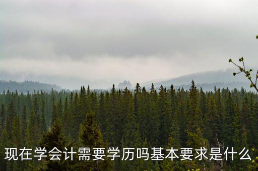現(xiàn)在學(xué)會計需要學(xué)歷嗎基本要求是什么