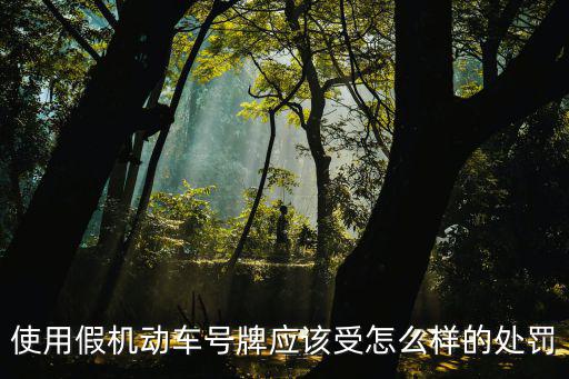 使用假機動車號牌應該受怎么樣的處罰