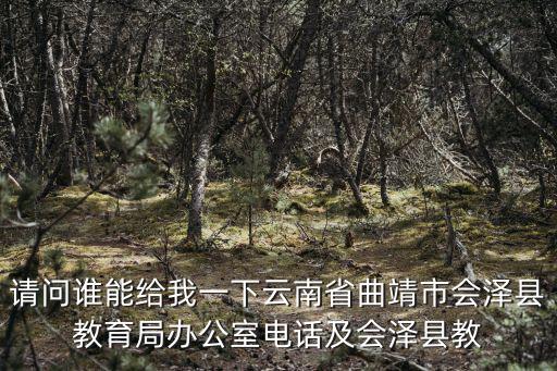 請問誰能給我一下云南省曲靖市會澤縣教育局辦公室電話及會澤縣教
