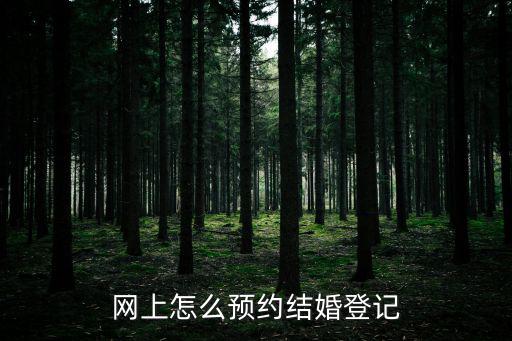 網上怎么預約結婚登記