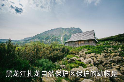 黑龍江扎龍自然保護(hù)區(qū)保護(hù)的動(dòng)物是