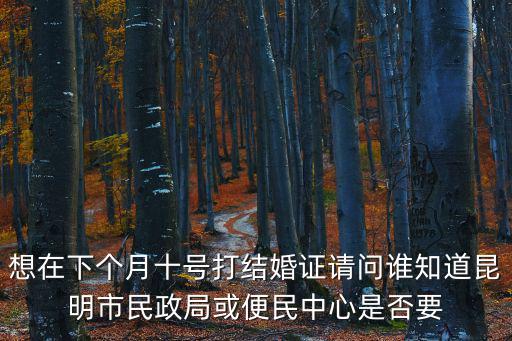 想在下個月十號打結婚證請問誰知道昆明市民政局或便民中心是否要