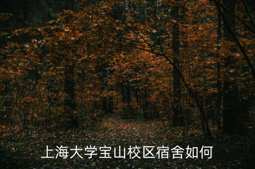 上海大學(xué)寶山校區(qū)宿舍如何