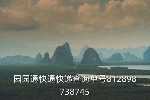 園園通快通快遞查詢單號(hào)812898738745