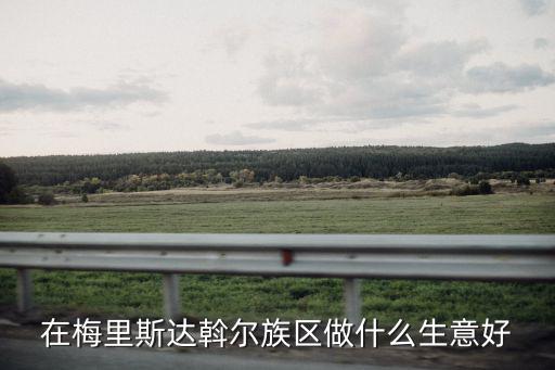 在梅里斯達斡爾族區做什么生意好