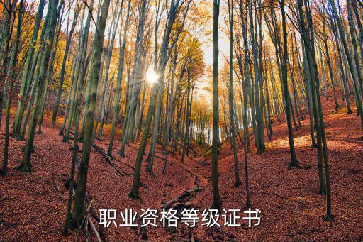 職業資格等級證書