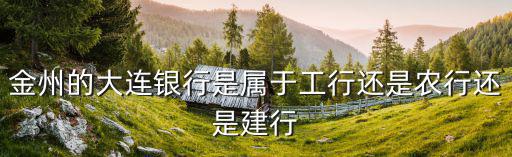 大連銀行，大連銀行的官方網(wǎng)站