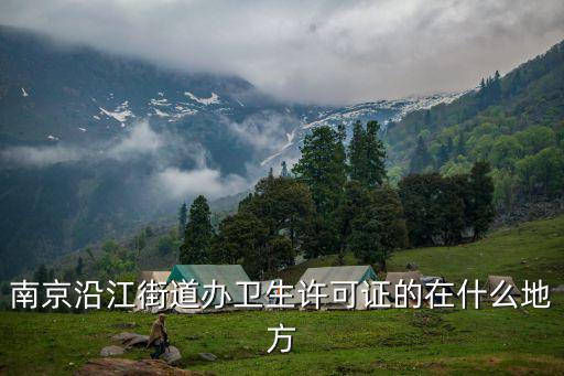 南京沿江街道辦衛生許可證的在什么地方