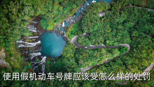 使用其他機動車號牌行駛證的一次記三分，使用假機動車號牌應(yīng)該受怎么樣的處罰