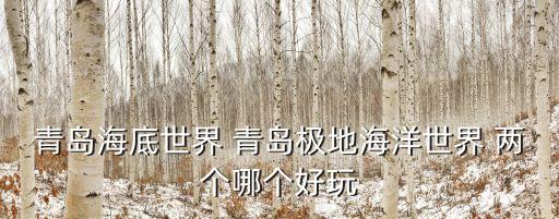 青島海底世界 青島極地海洋世界 兩個(gè)哪個(gè)好玩