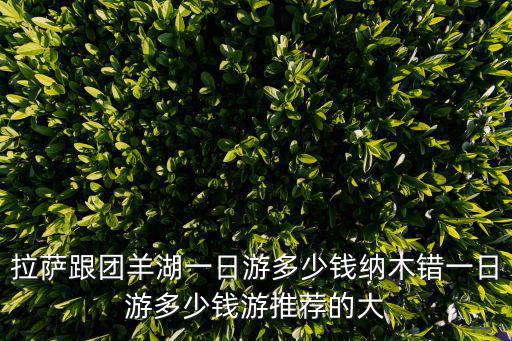 拉薩跟團羊湖一日游多少錢納木錯一日游多少錢游推薦的大