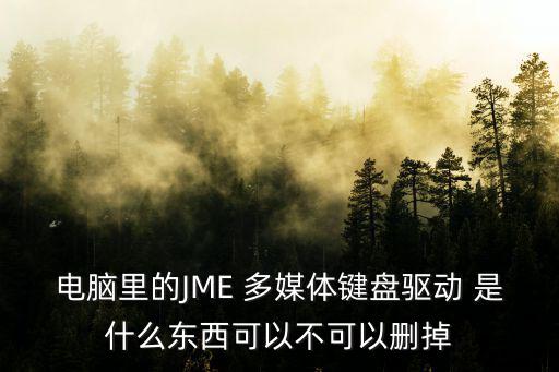 電腦里的JME 多媒體鍵盤驅(qū)動 是什么東西可以不可以刪掉