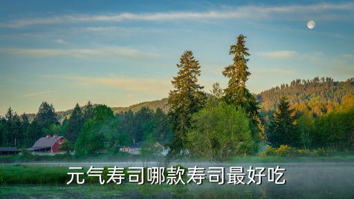 元氣壽司哪款壽司最好吃