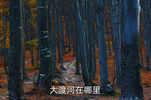 大渡河在哪里，請(qǐng)問大渡河酒產(chǎn)地是哪里
