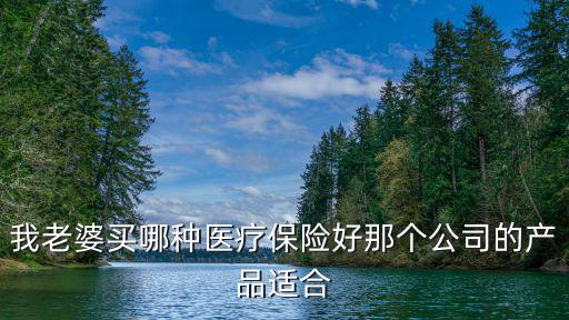 我老婆買哪種醫療保險好那個公司的產品適合