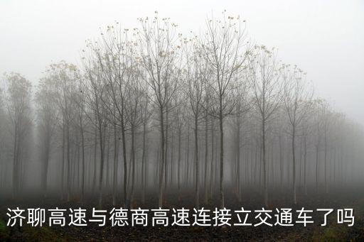 濟聊高速與德商高速連接立交通車了嗎