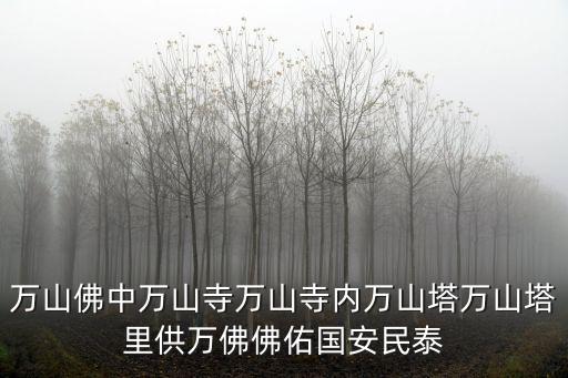 萬山佛中萬山寺萬山寺內萬山塔萬山塔里供萬佛佛佑國安民泰