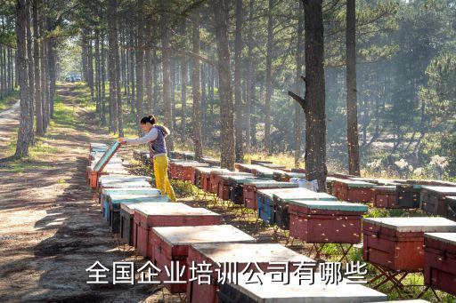 培訓名單，中國前十名培訓機構是哪些