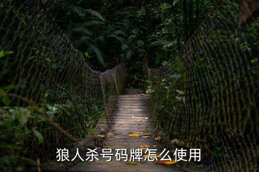 號(hào)碼牌，汽車電話號(hào)碼牌怎么用