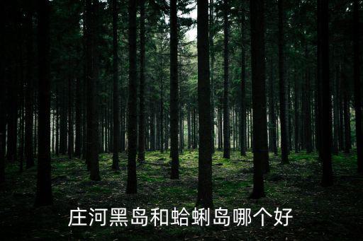 莊河黑島和蛤蜊島哪個好