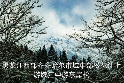 黑龍江西部齊齊哈爾市域中部松花江上游嫩江中游東岸松
