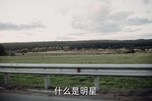 什么是明星