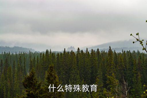 什么特殊教育