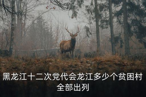黑龍江十二次黨代會龍江多少個貧困村全部出列