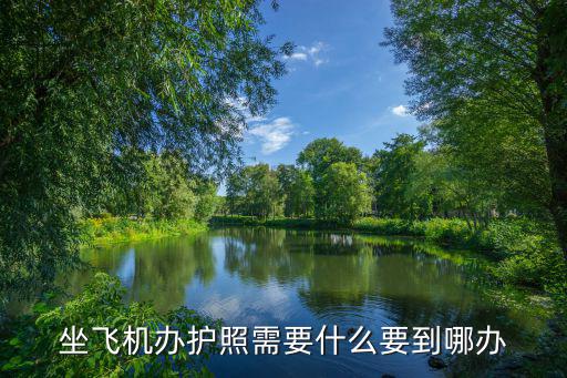 坐飛機辦護照需要什么要到哪辦