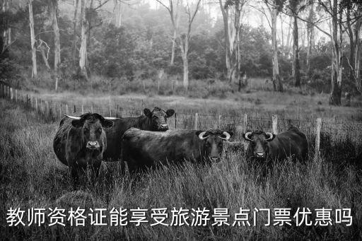 教師資格證能享受旅游景點門票優惠嗎