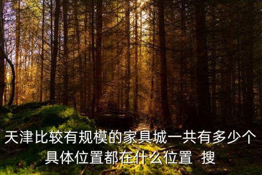 天津比較有規(guī)模的家具城一共有多少個具體位置都在什么位置  搜